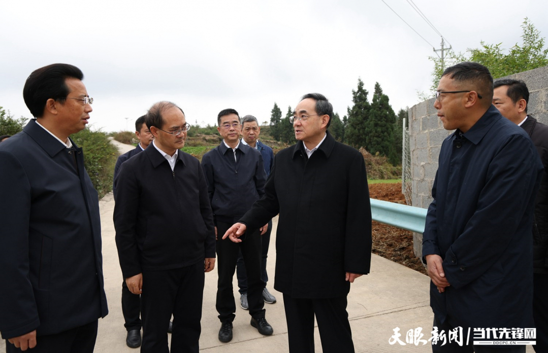 圖為徐麟在盤州市兩河街道花家莊村，了解當(dāng)?shù)乩暹\處置情況。.jpg